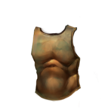 Bronze Armor Plates