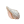 Vishnu Conch Shell