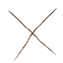 Schöningen Wooden Spears