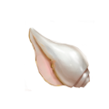 Thumbnail for version as of 01:36, 3 July 2026